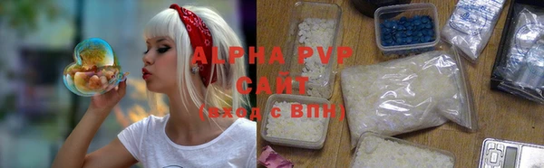 сатива Бородино