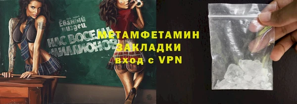 сатива Бородино