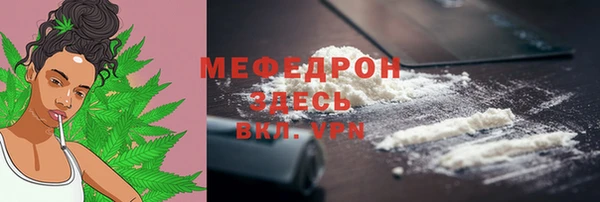 сатива Бородино