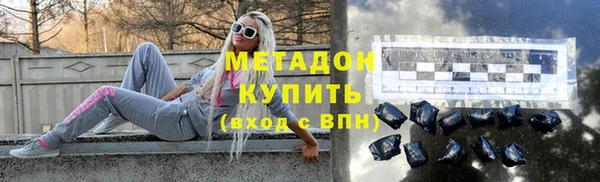 сатива Бородино