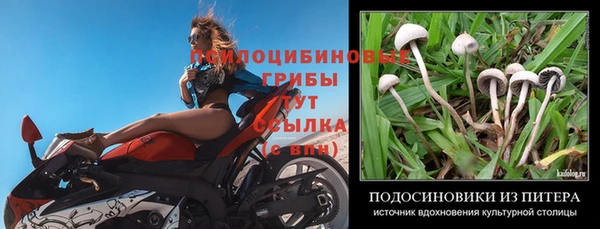 твердый Бугульма