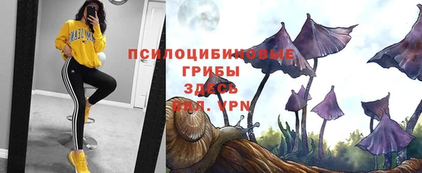 сатива Бородино