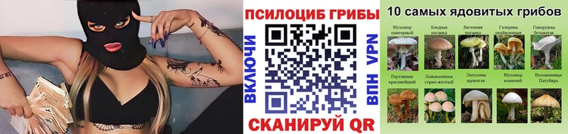 Псилоцибиновые грибы ЛСД  Мытищи 